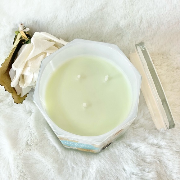 New with tag SCENTWORX DANDELION DAYDREAM SCENTED CANDLE w/ESSENTIAL OILS 14.5oz - Picture 2 of 5